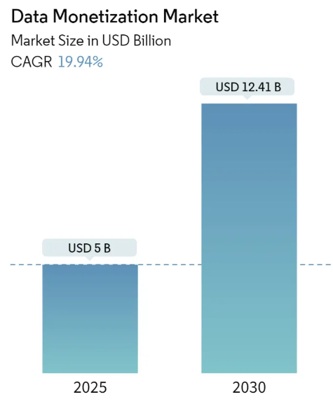 Data Monetization Market Size Data Monetization Market Summary